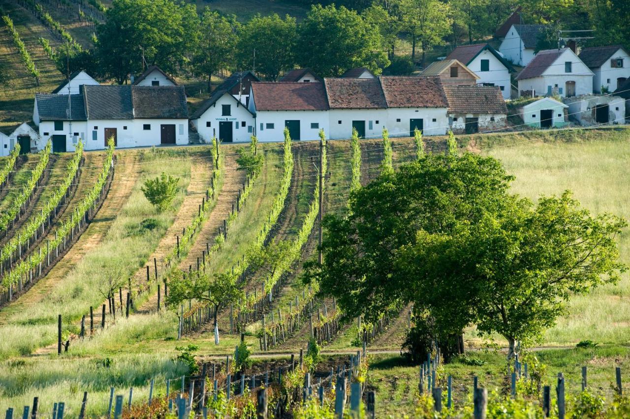Weinhotel Rieder 포이스도르프 외부 사진